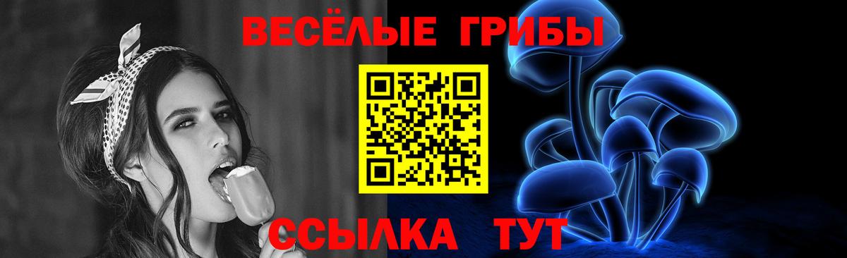 Галлюциногенные грибы Избербаш